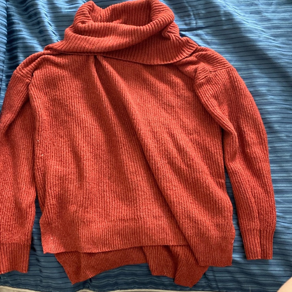 Burnt orange hippie rose turtle neck sweater
